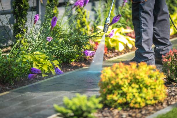 Best Pre-Holiday Cleaning  in Pilot Mountain, NC